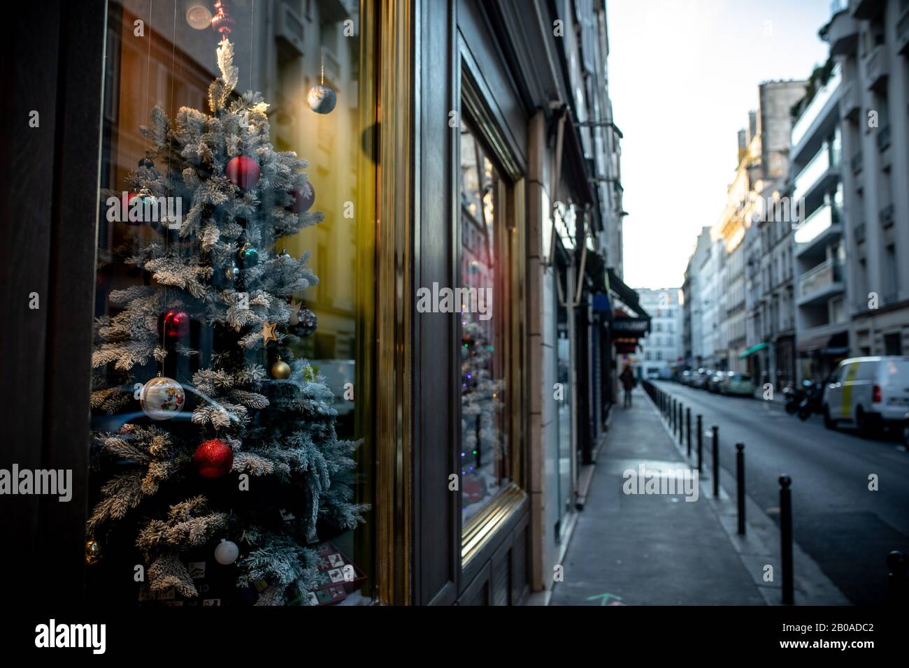Un árbol de Navidad dentro de una ventana de tienda en una calle en París, Francia. Foto de stock