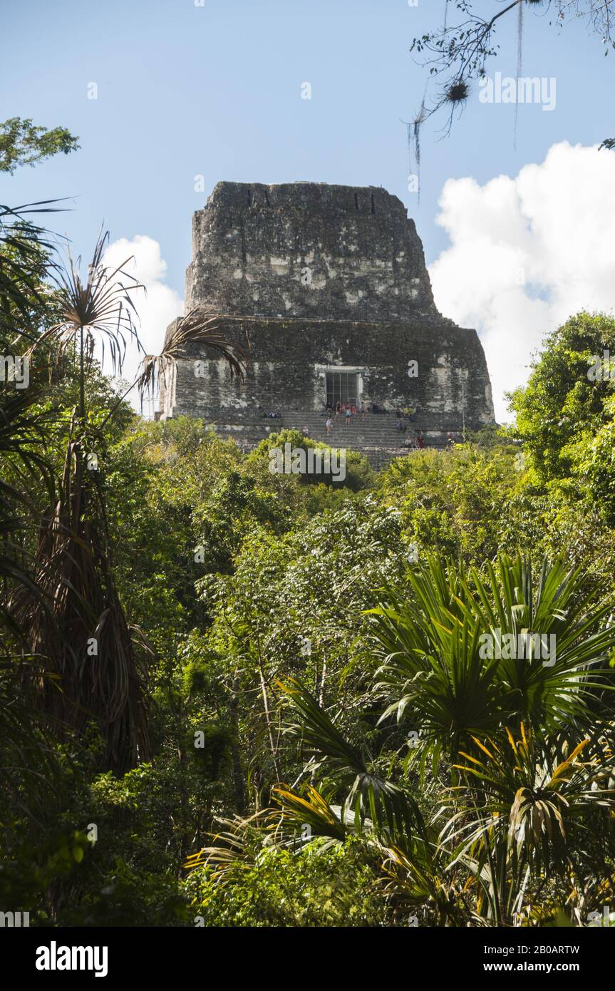 Guatemala, Parque Nacional Tikal, Templo IV, 741 AD, pirámide maya más alta, Patrimonio de la Humanidad de la UNESCO Foto de stock
