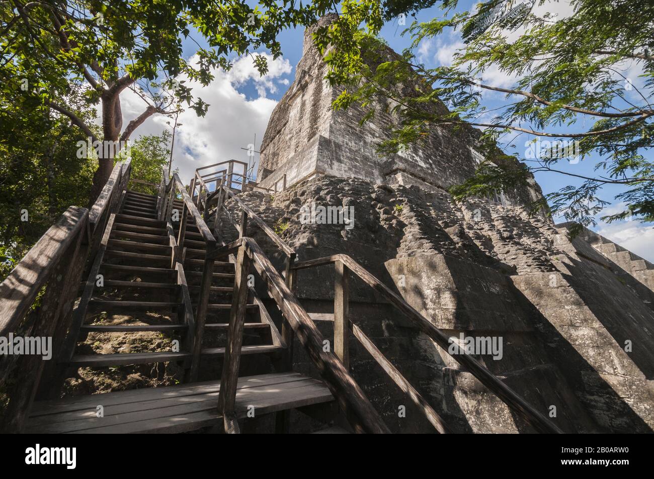 Guatemala, Parque Nacional Tikal, Templo IV, 741 AD, la pirámide maya más alta, escaleras hasta la pirámide; Patrimonio de la Humanidad de la UNESCO Foto de stock