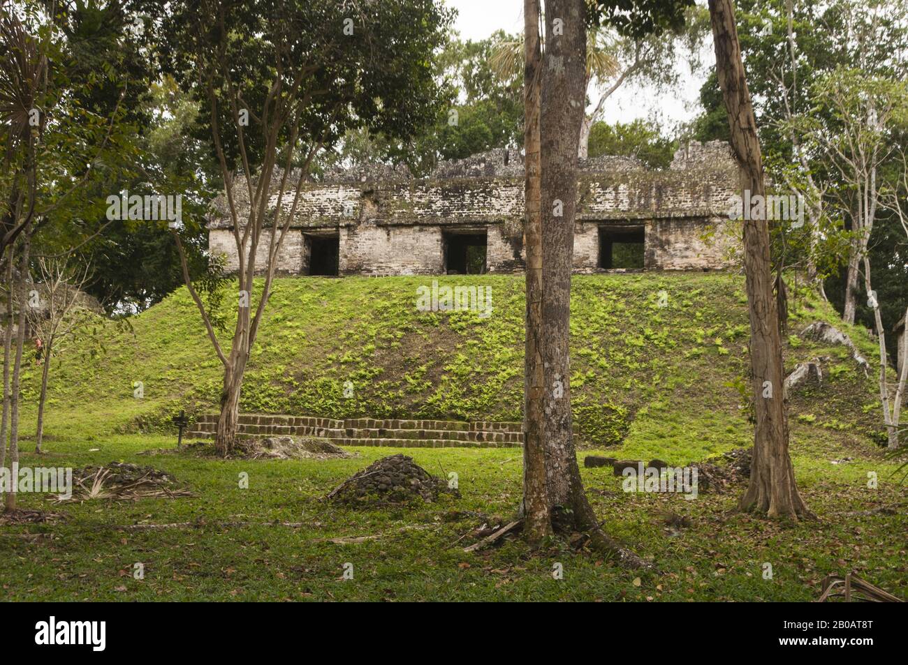 Guatemala, Parque Nacional Tikal, Plaza De Los Siete Templos, Período Clásico Tardío, 600–900 Ad; Patrimonio De La Humanidad De La Unesco Foto de stock