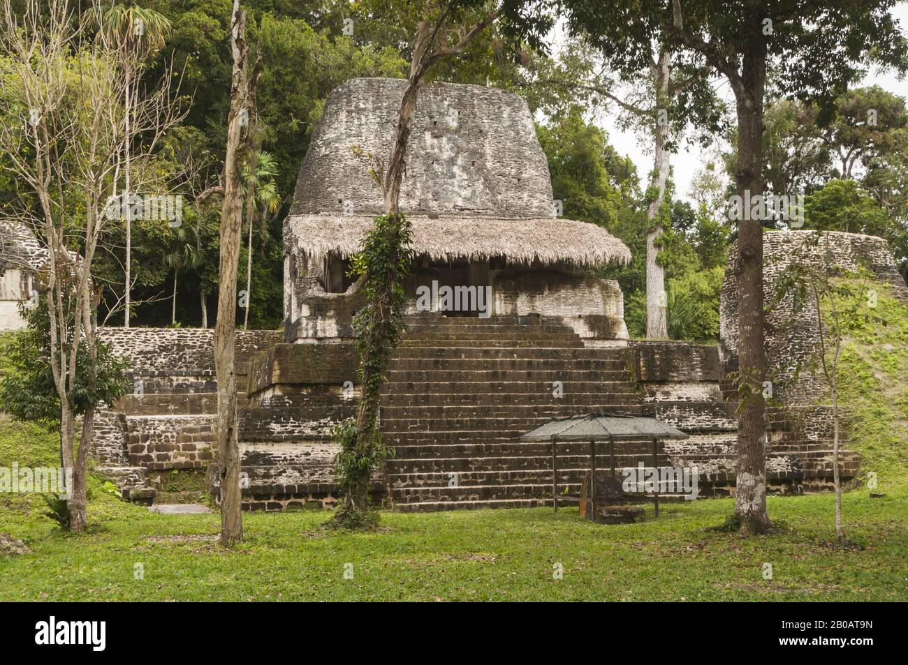 Guatemala, Parque Nacional Tikal, Plaza de los siete Templos, Período Clásico Tardío, 600–900 AD, estructura 5D-96; Patrimonio de la Humanidad de la UNESCO Foto de stock