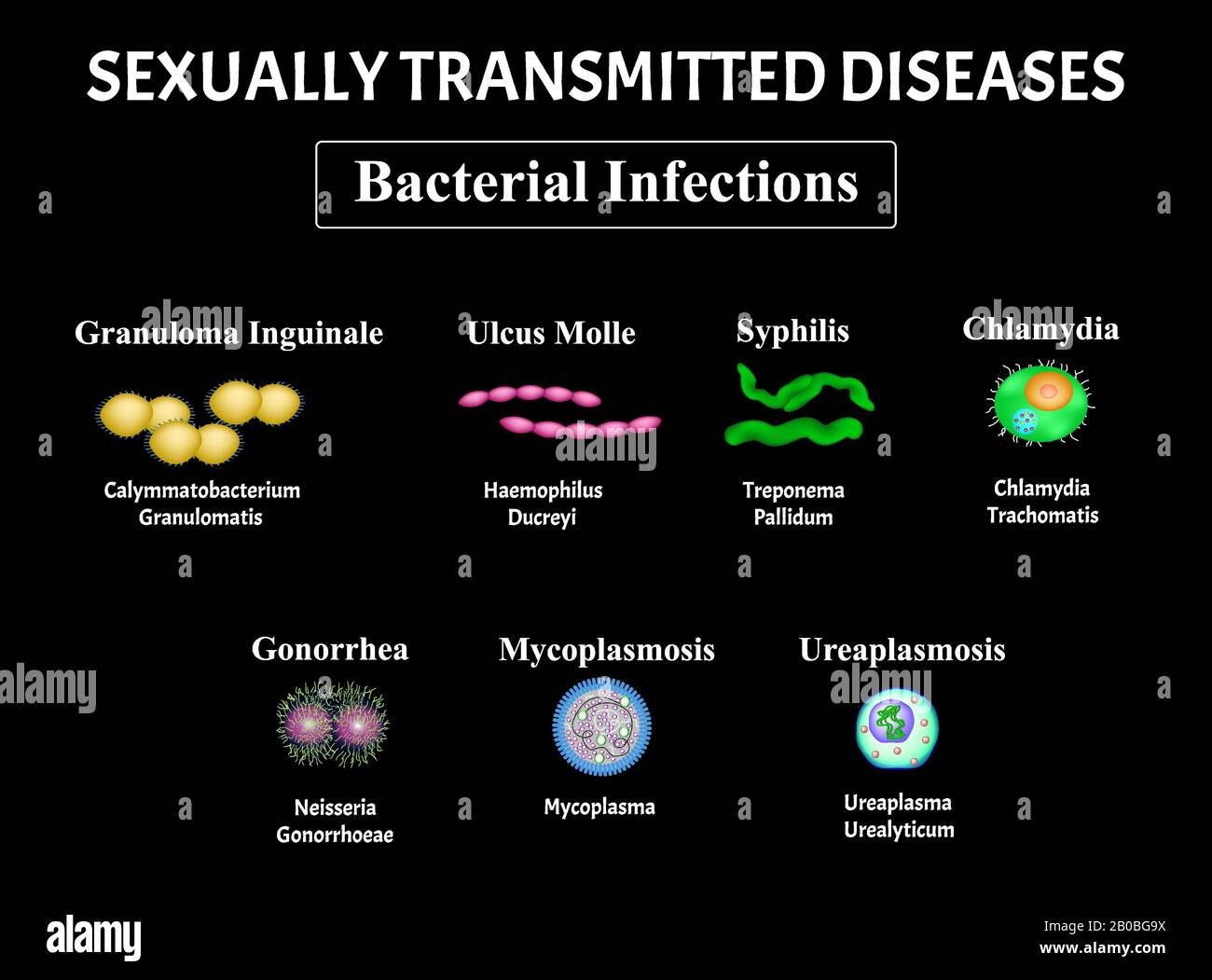 Sífilis, Espirochaete, Treponema, Gonococo, Gonorrea, Clamidiosis