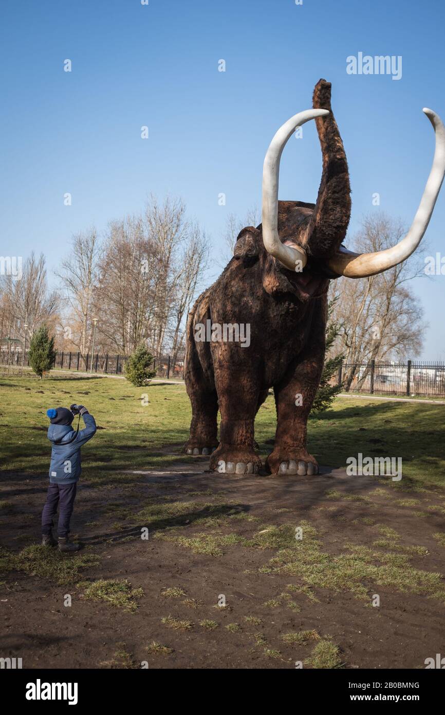 Cámara de mamut fotografías e imágenes de alta resolución - Alamy