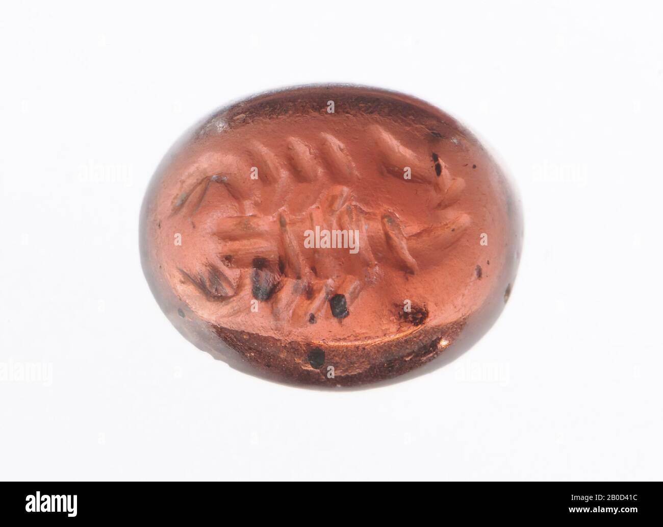 Escorpión, sello sello, almandina granate, Color :, forma: Cabochon, procesamiento:, Método: 2.5 x 7 x 5.6 mm Foto de stock