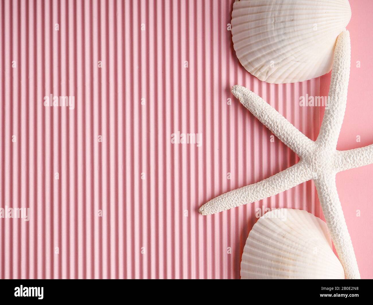 conchas blancas sobre fondo rosa, espacio para texto. Foto de stock