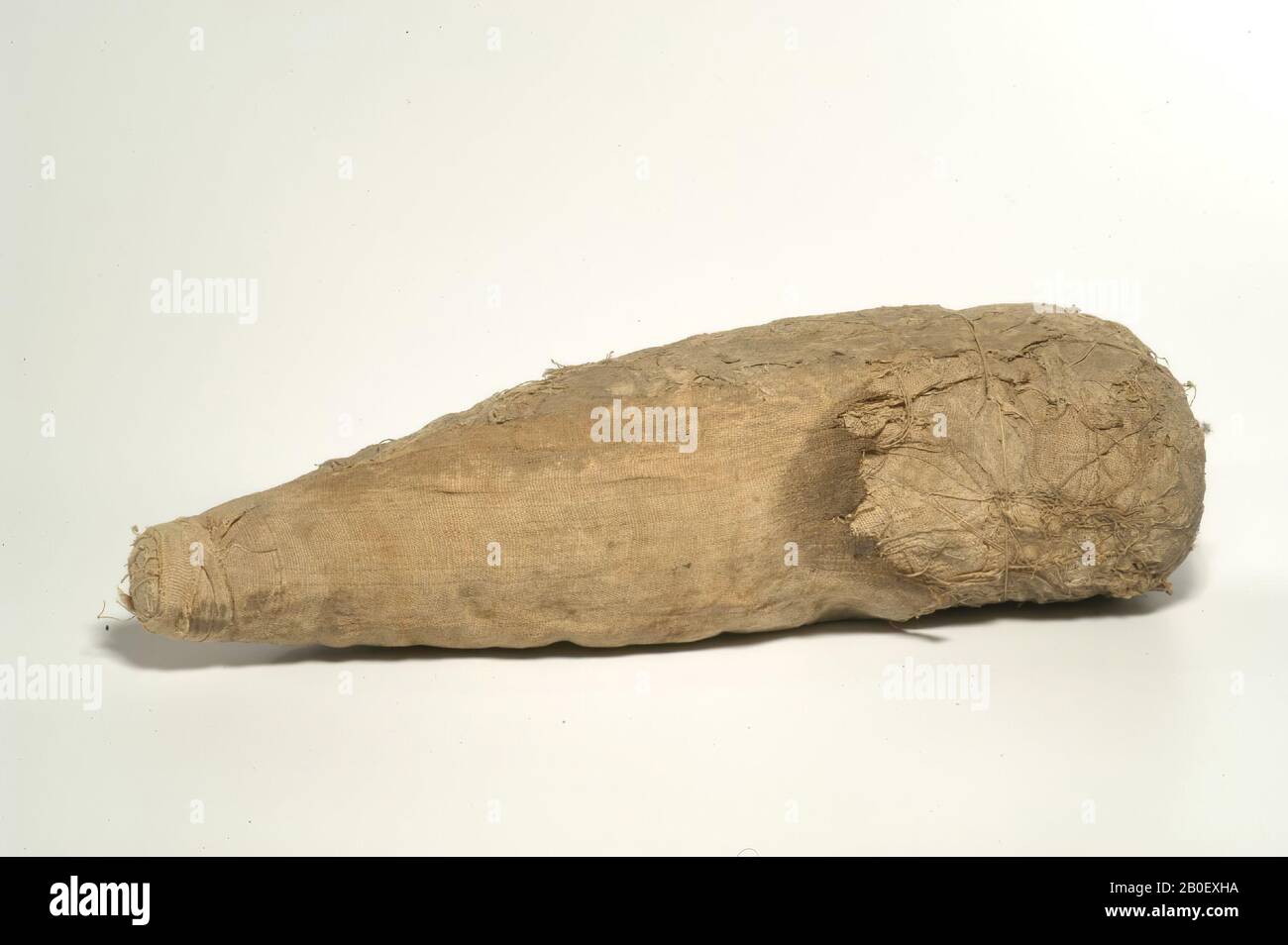 Ibis, La momia tiene la forma de un cuerpo triangular con un área de hombro recta, que se tape hasta el extremo caudal. La parte distal del cuerpo está envuelta en una hoja decayada de dos bandas (tejido tabby con cara de urdimbre, alrededor de 10 x 22 hilos Foto de stock