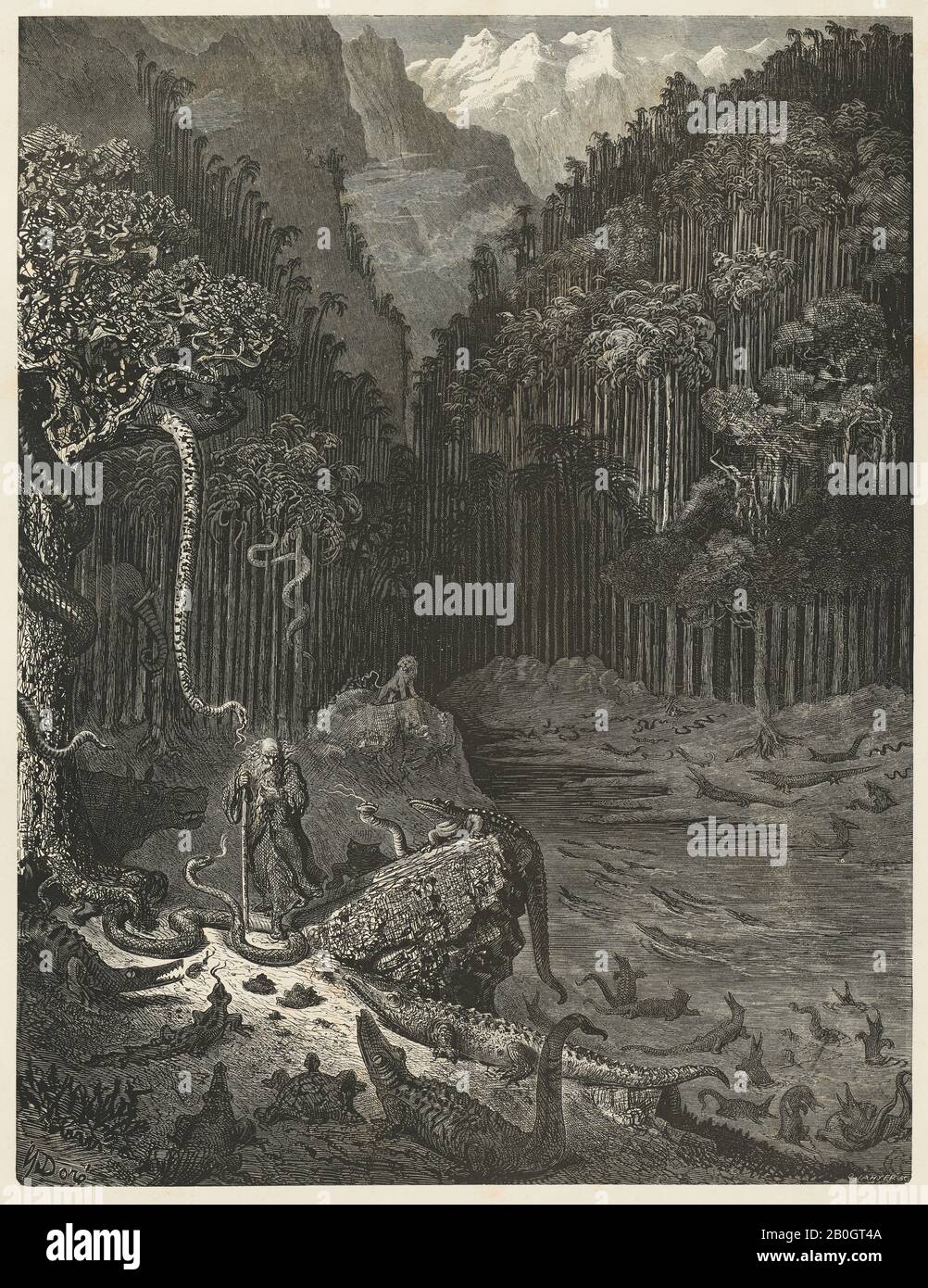 Gustave Doré, francés, 1832–1883, la Leyenda del Judío que se mueve, 11: Árboles entrelazados con serpientes..., 1856, grabado de madera sobre papel de la paloma, imagen: 15 7/8 x 12 1/8 pulgadas (40.3 x 30.8 cm Foto de stock