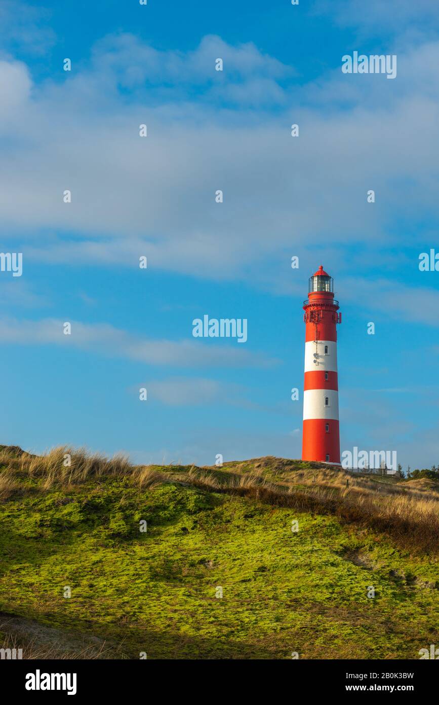 ILIGHITO, tablilla de Amrum, Northsea, Patrimonio Natural Mundial de la UNESCO, Frisia del Norte, Schleswig-Holstein, Gemany Foto de stock