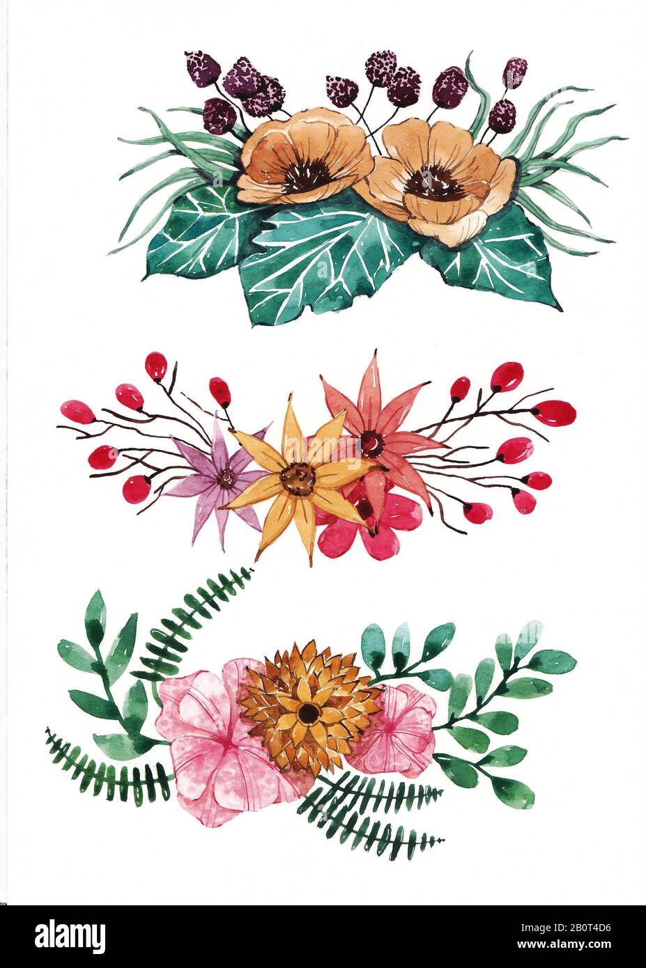 Conjunto de flores y hojas dibujo y pintura de color agua Fotografía de stock - Alamy Conjunto de flores y hojas dibujo y pintura de color agua Fotografía de stock - Alamy
