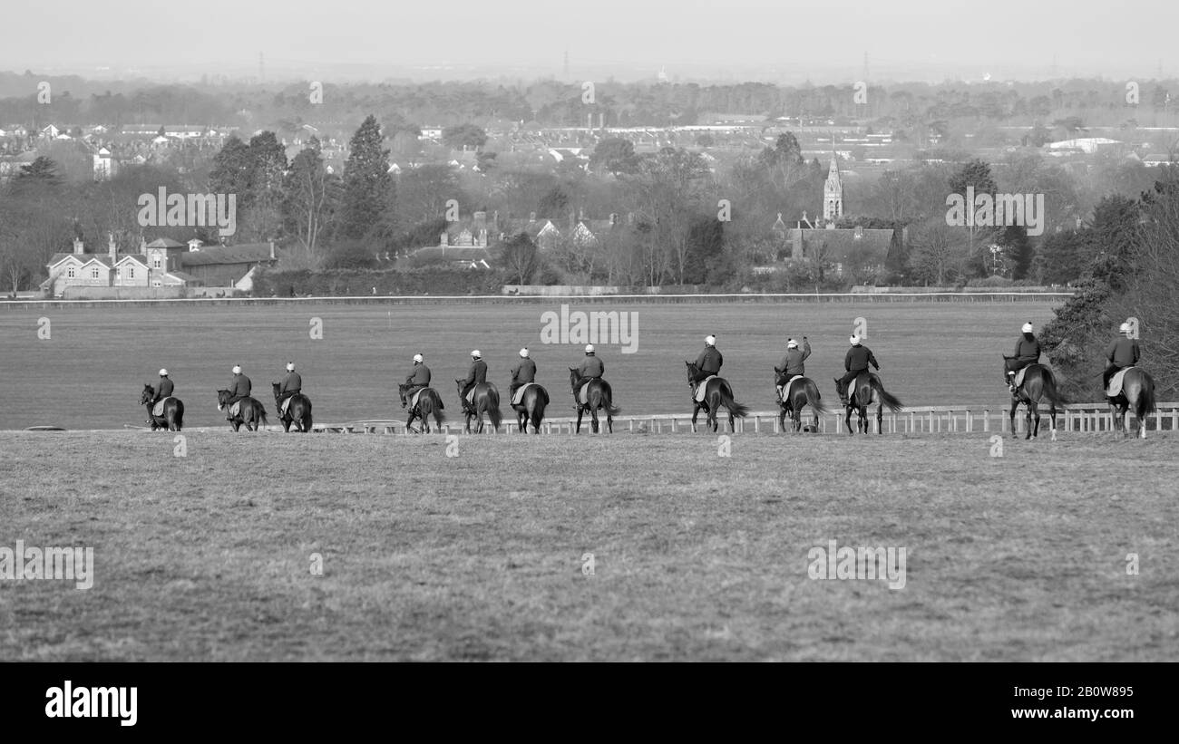 Por más de 350 años, Newmarket Town en Inglaterra ha sido la capital del caballo de carreras del mundo para la cría, fuerza y entrenamiento de la resistencia. Foto de stock