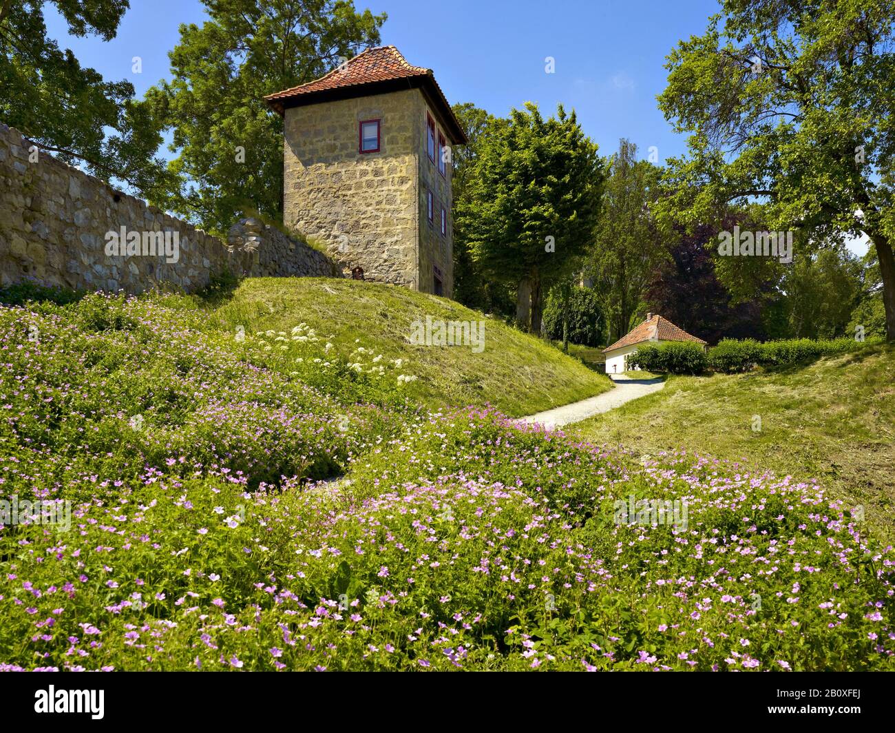 Jardín de montaña con torre de princesa y casa de té, Blankenburg/Harz, Sajonia-Anhalt, Alemania, Foto de stock