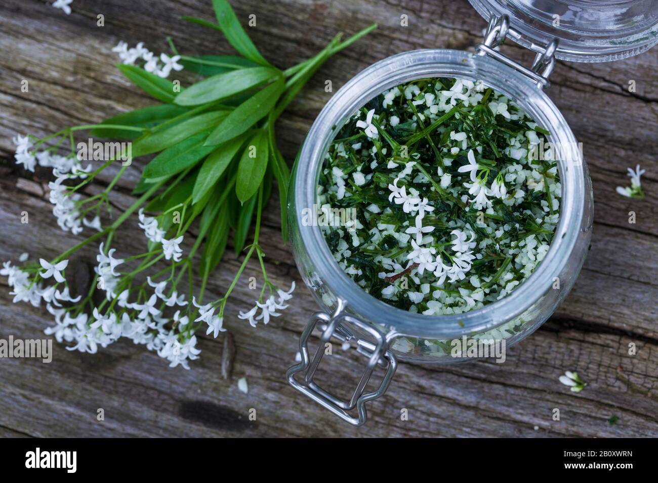 Corva dulce (Galium odoratum), sal de hierbas hecha de corva dulce, Alemania Foto de stock
