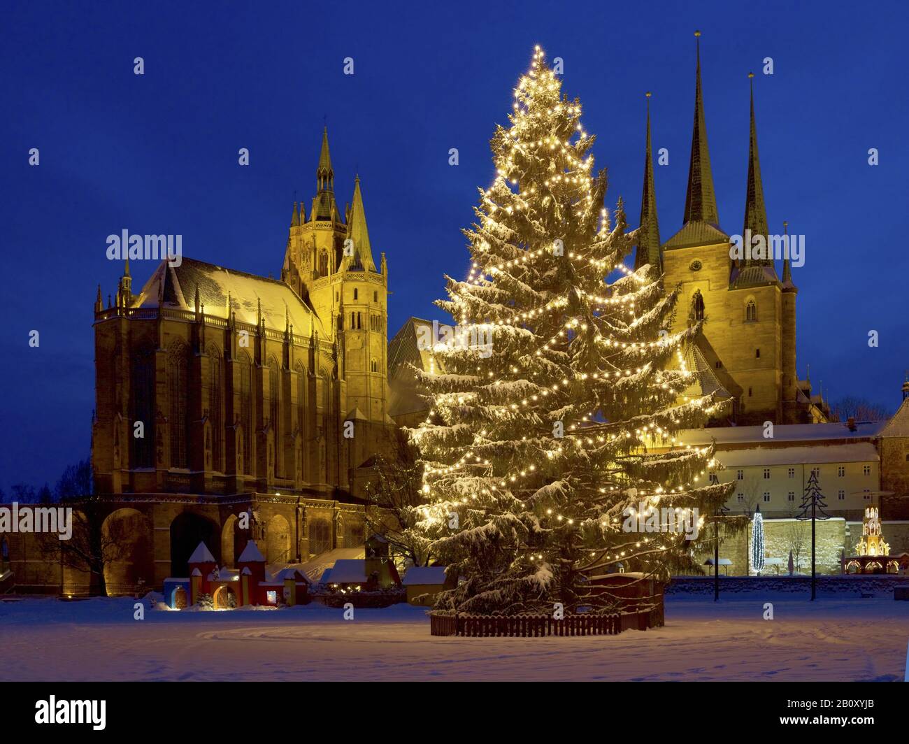Plaza de la Catedral con árbol de Navidad, catedral y Severikirche, Erfurt, Turingia, Alemania, Foto de stock