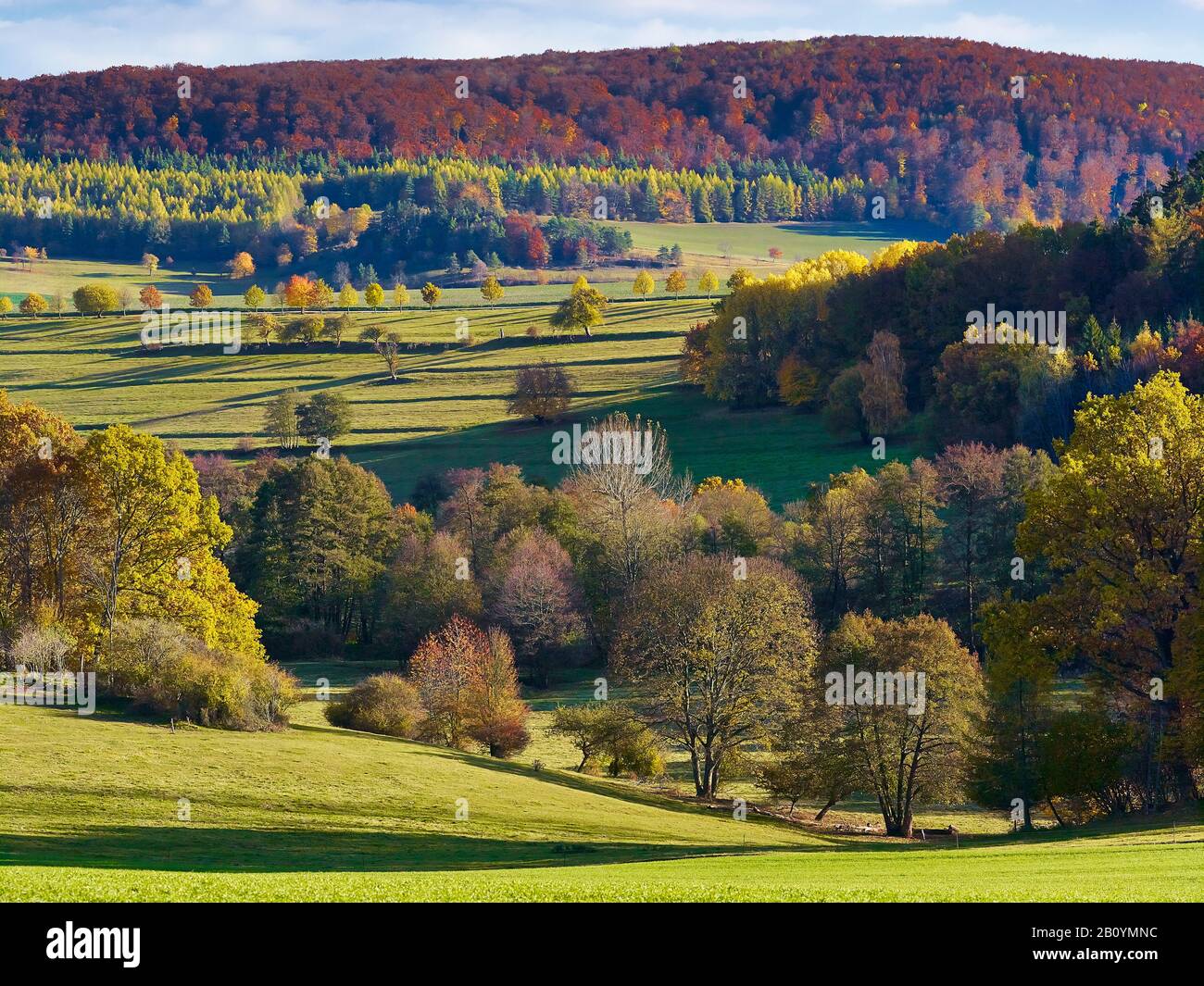 Vista al valle del Herpf cerca de Bettenhausen en otoño, Rhön, Turingia, Alemania, Foto de stock