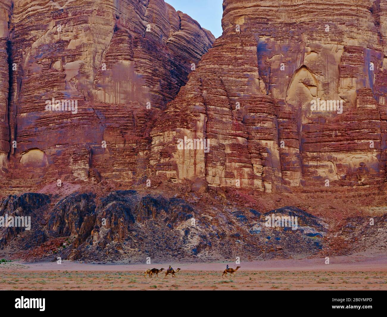 Camellos delante de la cara de roca en Wadi Rum, Provincia de Aqaba, Jordania, Oriente Medio, Foto de stock