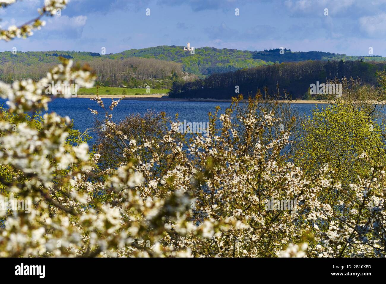 Vista desde el paraíso natural Alt Reddevitz al castillo Granitz, Ruegen, Mecklemburgo-Pernania Occidental, Alemania Foto de stock