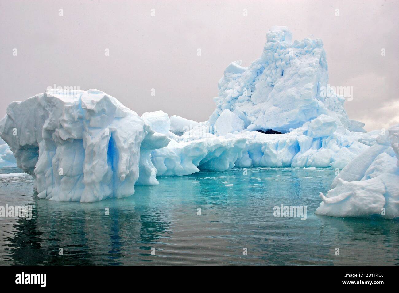 Icebergs en la costa, Antártida, Isla Cuverville Foto de stock
