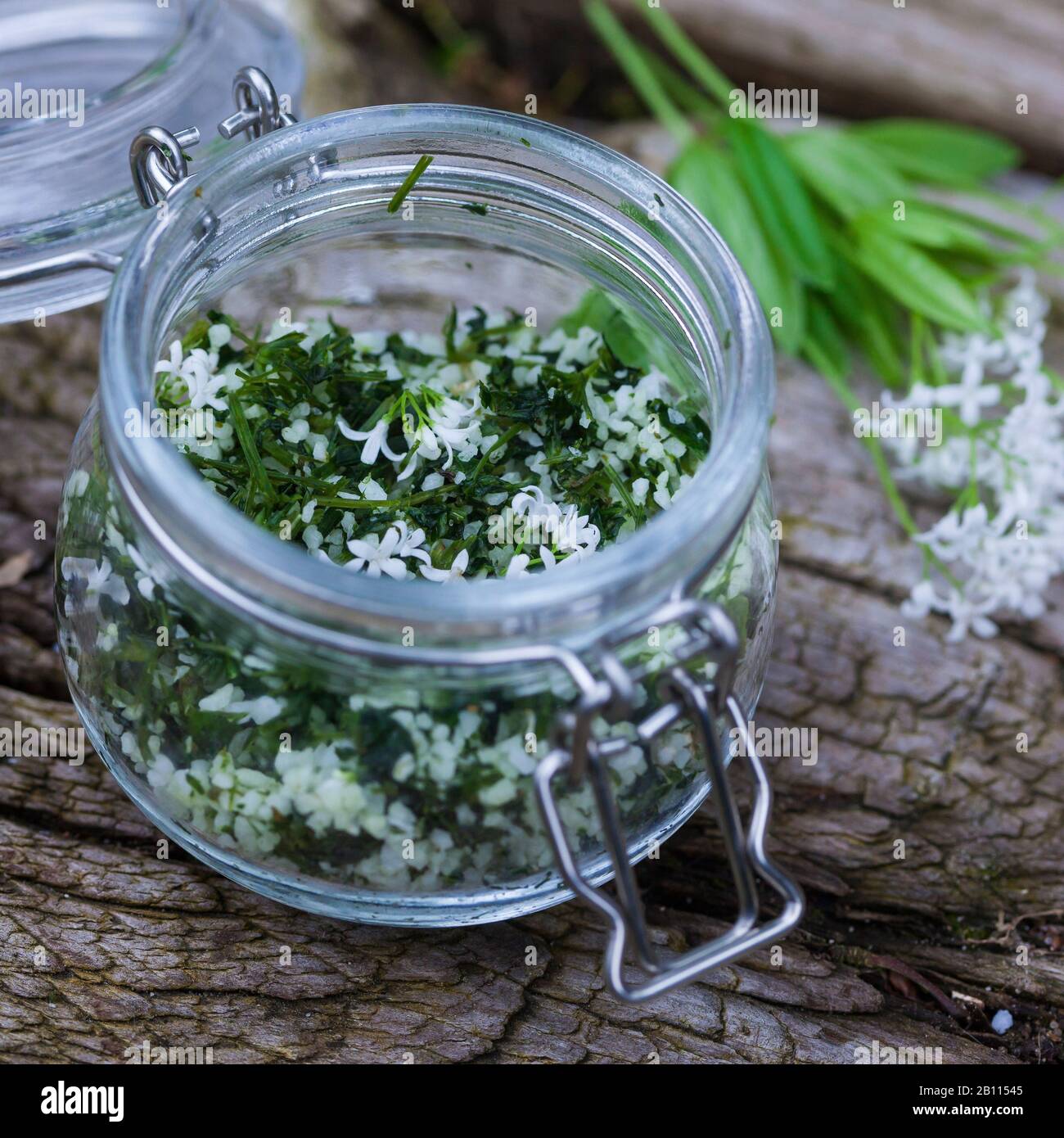 Corva dulce (Galium odoratum), sal de hierbas hecha de corva dulce, Alemania Foto de stock