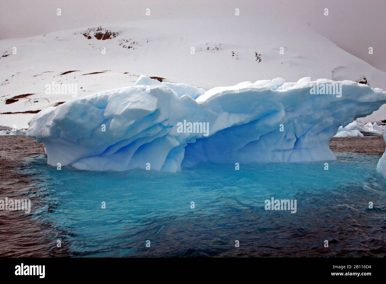 Icebergs en la costa, Antártida, Isla Cuverville Foto de stock