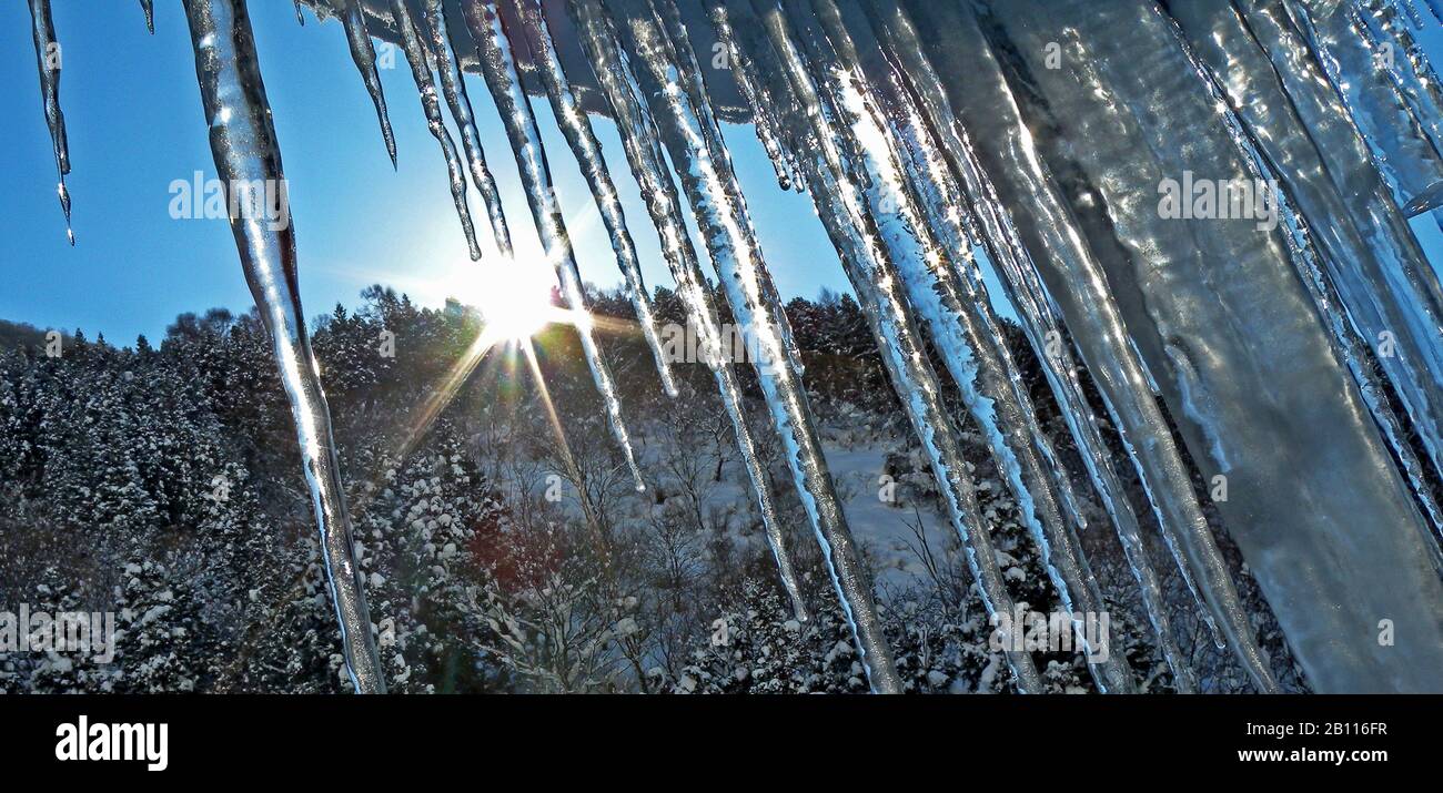 Paisaje en invierno en Japón, Japón Foto de stock