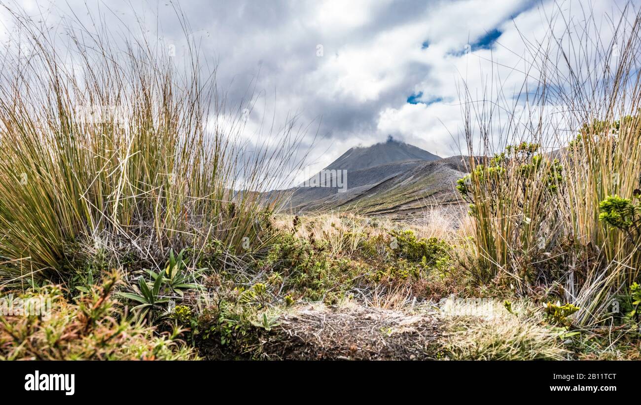 Parque Nacional De Tongariro, Volcán Cubierto De Nubes, Ubicación Del Señor De Los Anillos, Mordor, Tongariro, Nueva Zelanda Foto de stock
