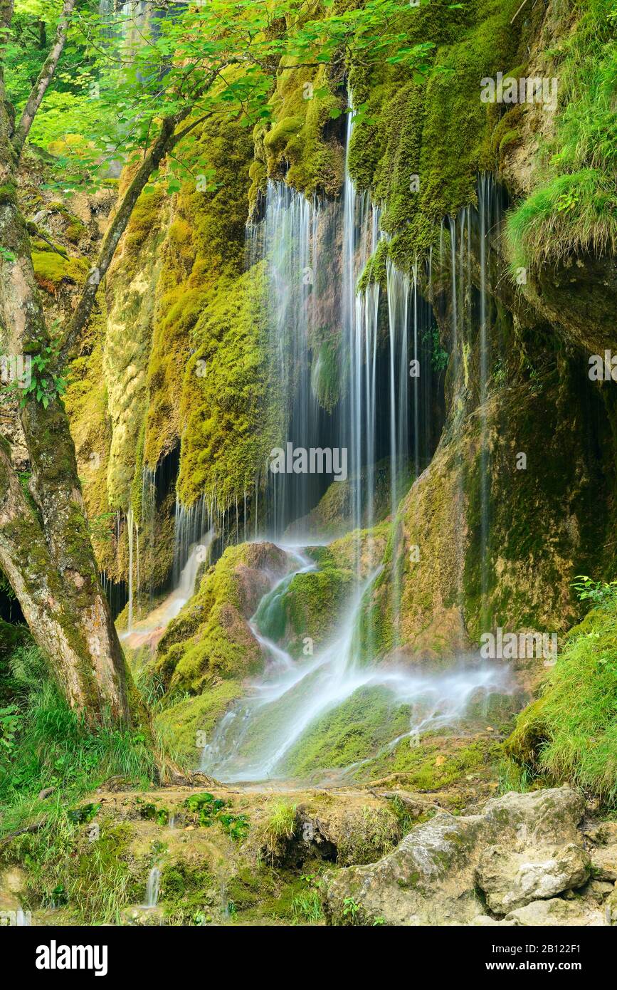 El Schleierfalls en el Ammer, cascada cubierta de musgo, Ammergau Alpes, Baviera, Alemania Foto de stock