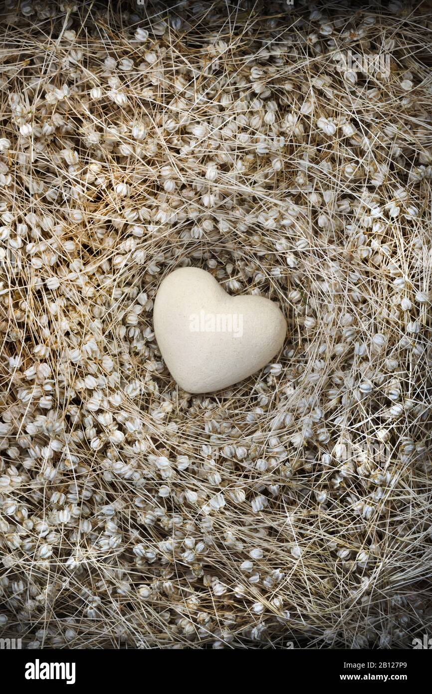 Papier mache huevo en forma de corazón anidando en una cama de cabezas de semillas secas Foto de stock