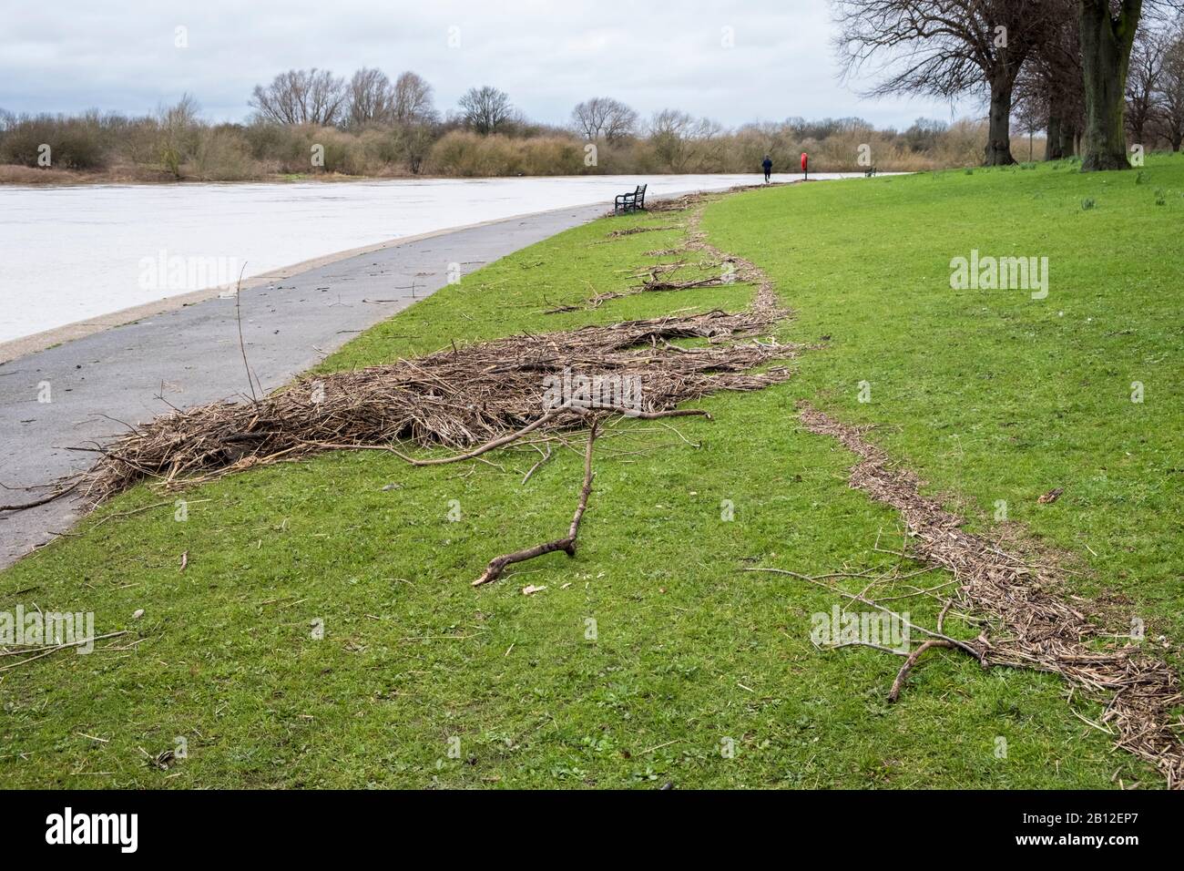 Escombros de Riverbank que marcan el alto nivel de agua de las inundaciones a lo largo del río Trent, Nottingham, Inglaterra, Reino Unido Foto de stock