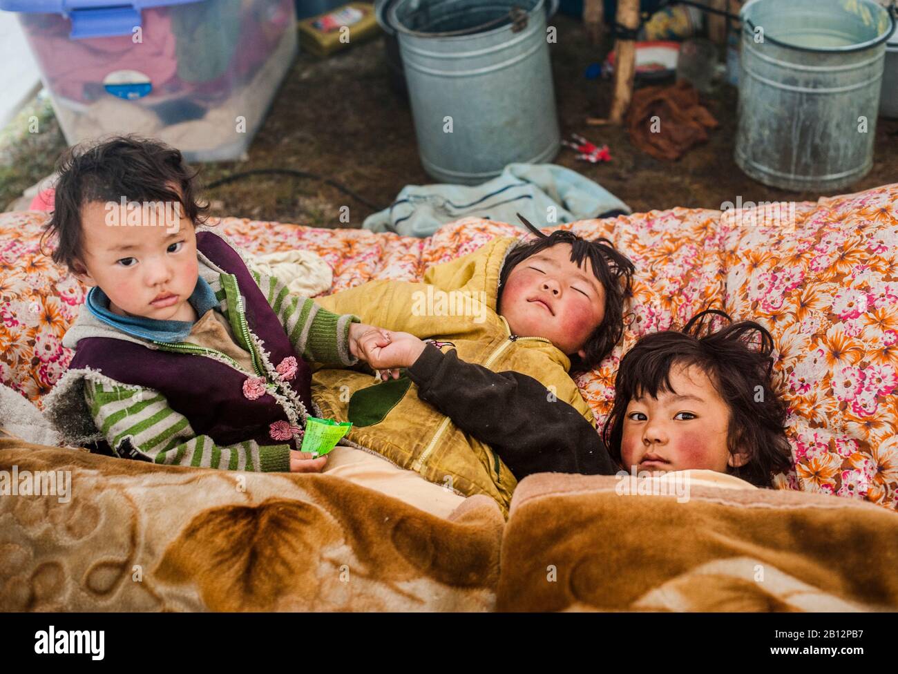 Niños nómadas en su tienda, meseta tibetana Foto de stock