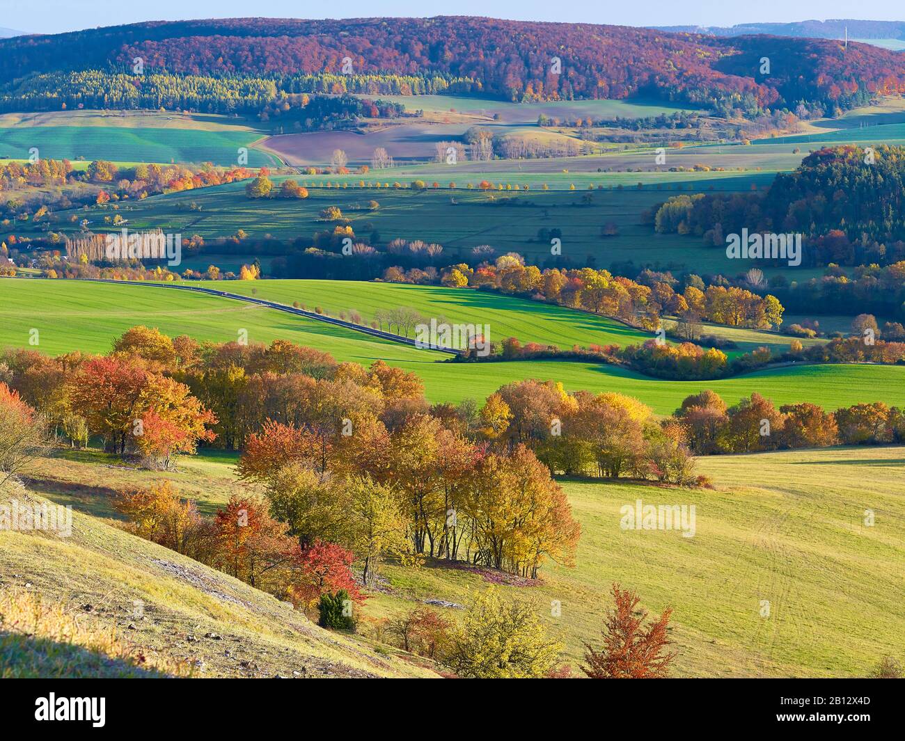 Vista al valle del Herpf en Bettenhausen en otoño,Rhön,Turingia,Alemania Foto de stock