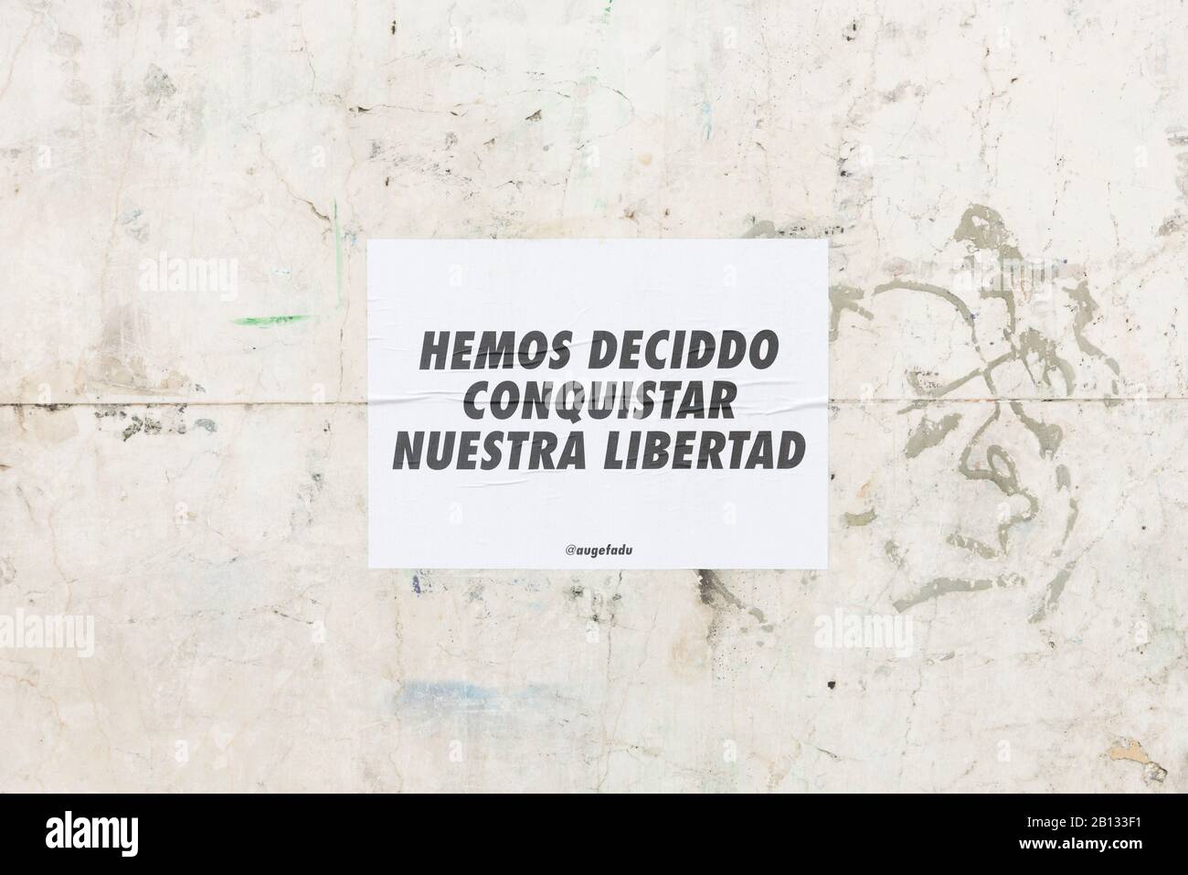 Capital Federal, Buenos Aires / Argentina; 19 de febrero de 2020: Manifestación a favor del aborto legal, seguro y libre; cartel en una pared: Hemos decidido conquistar Foto de stock