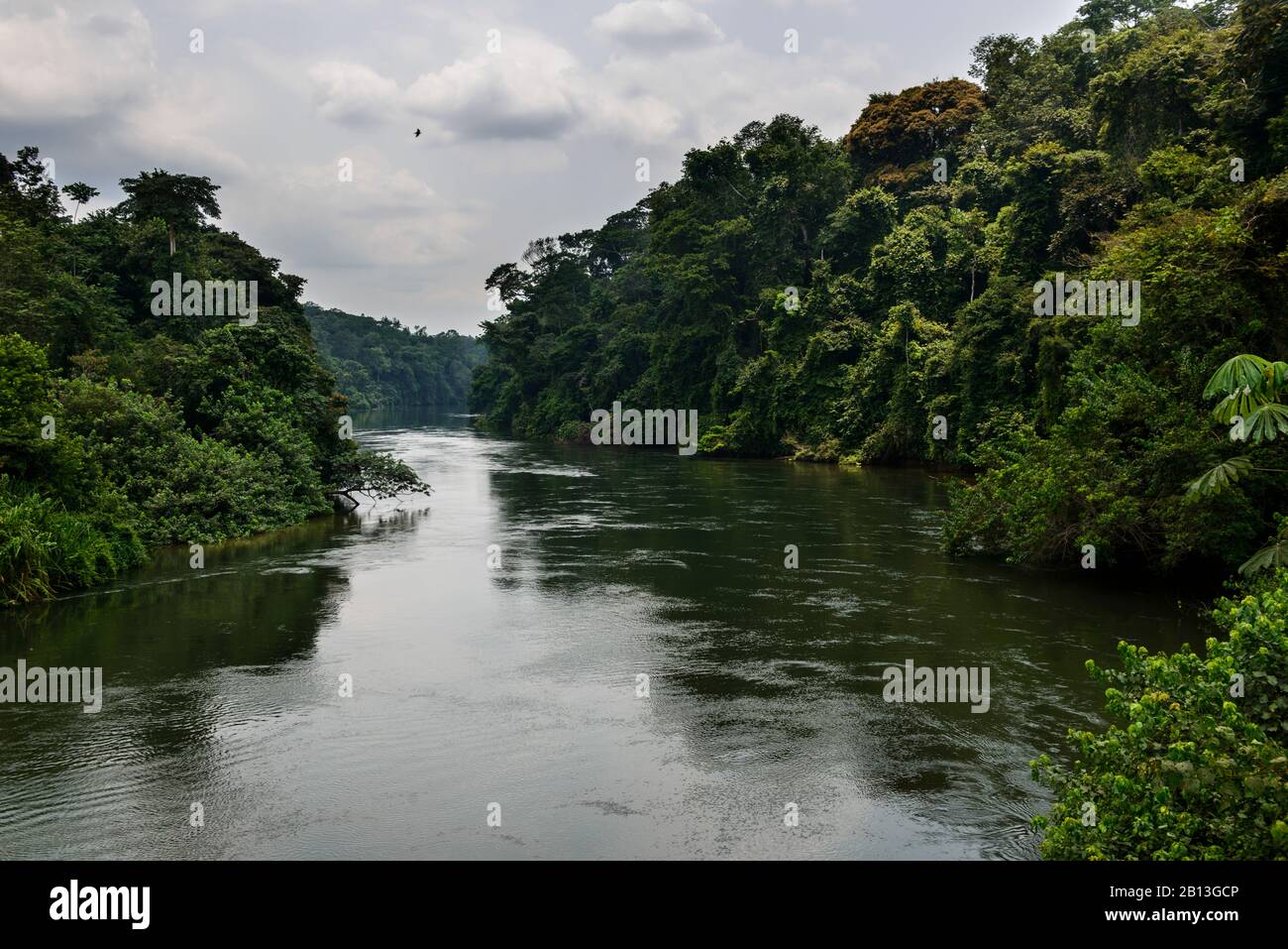 El río de la selva ecuatorial, Gabón, África Central Foto de stock
