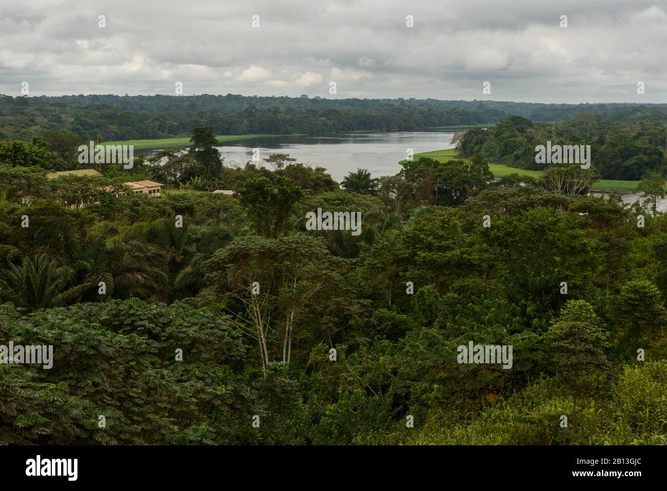 El río de la selva ecuatorial, Gabón, África Central Foto de stock