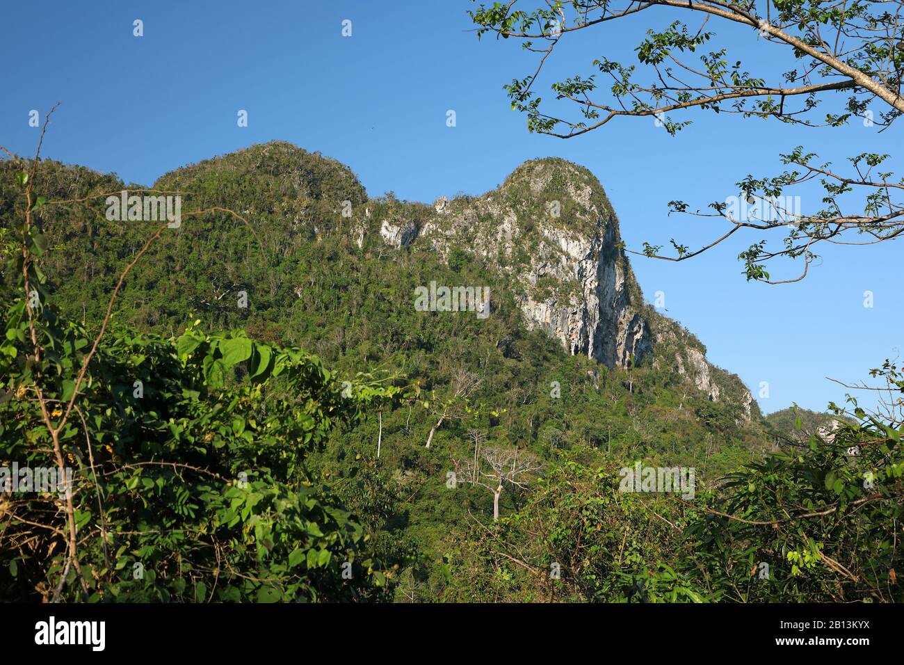 Paisaje boscoso de montaña, Cuba, Parque Nacional la Guira, Pinar del Río Foto de stock