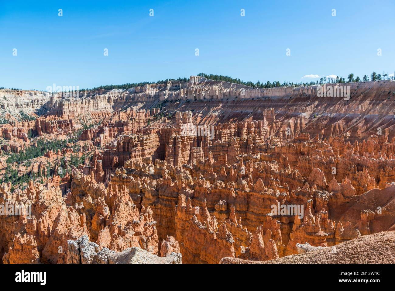 Anfiteatro, Parque Nacional Bryce Canyon, Utah, Estados Unidos Foto de stock