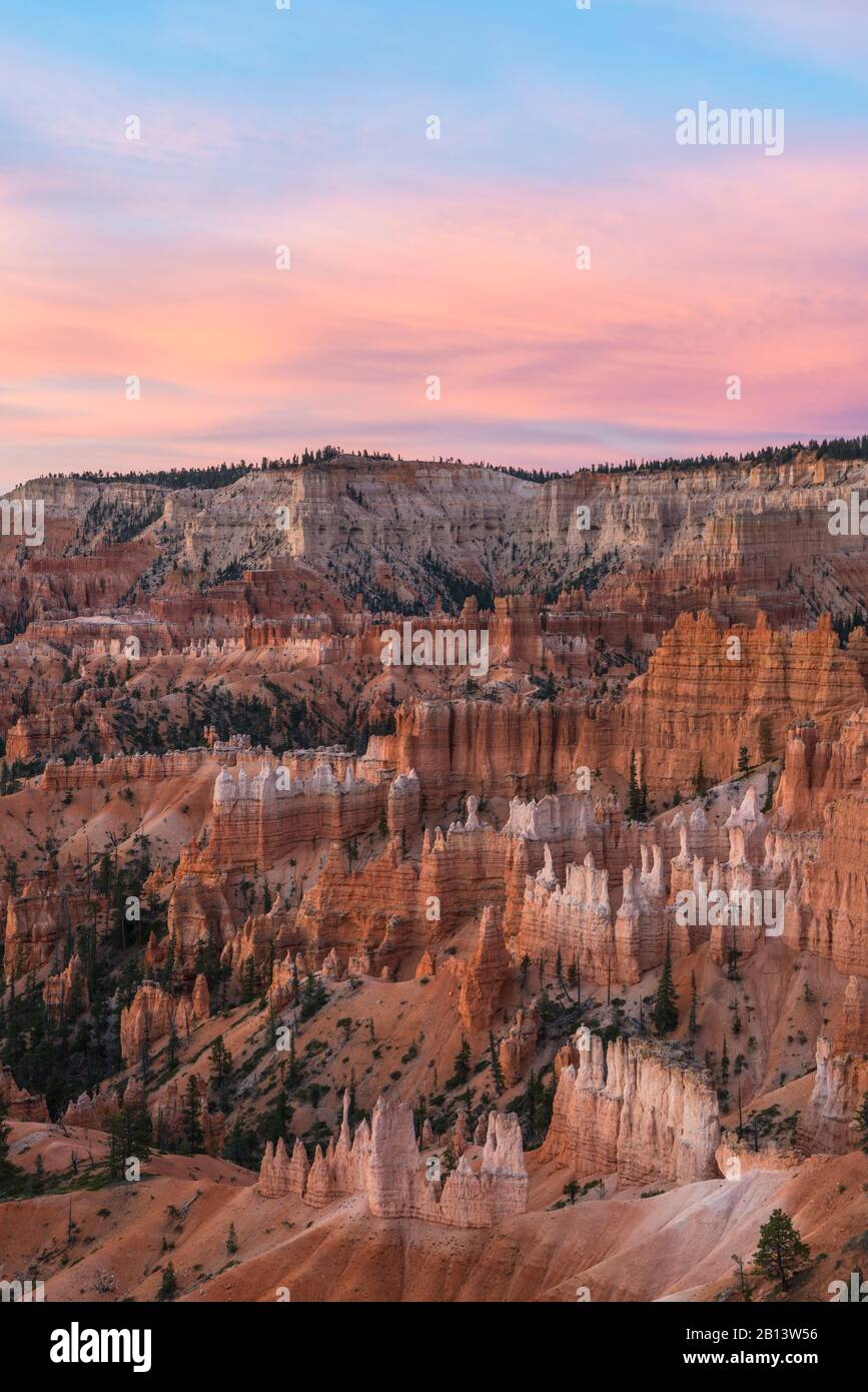 Anfiteatro, Parque Nacional Bryce Canyon, Utah, Estados Unidos Foto de stock