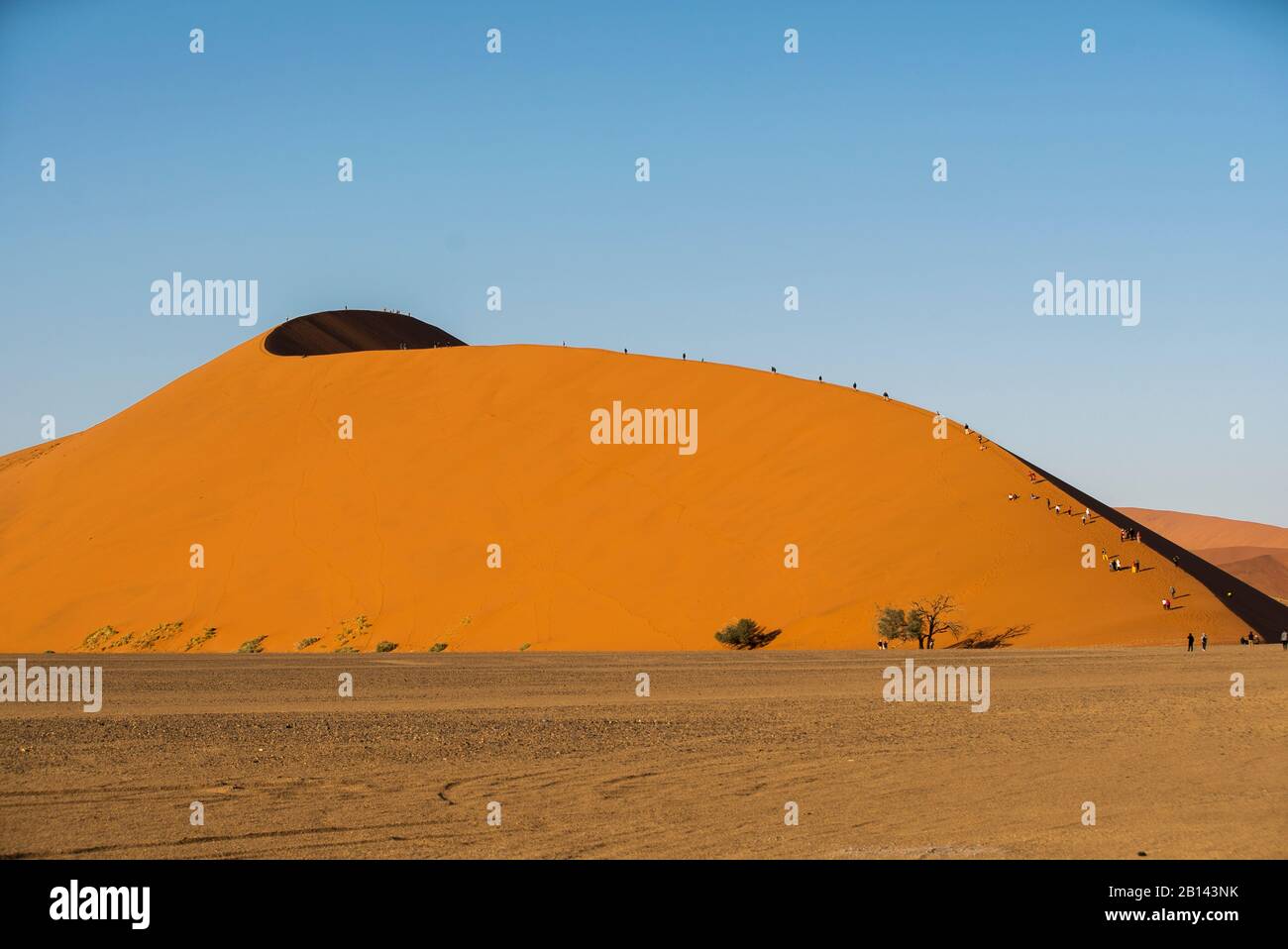Las dunas más grande del mundo, en Sossusvlei, Namibia, África Foto de stock