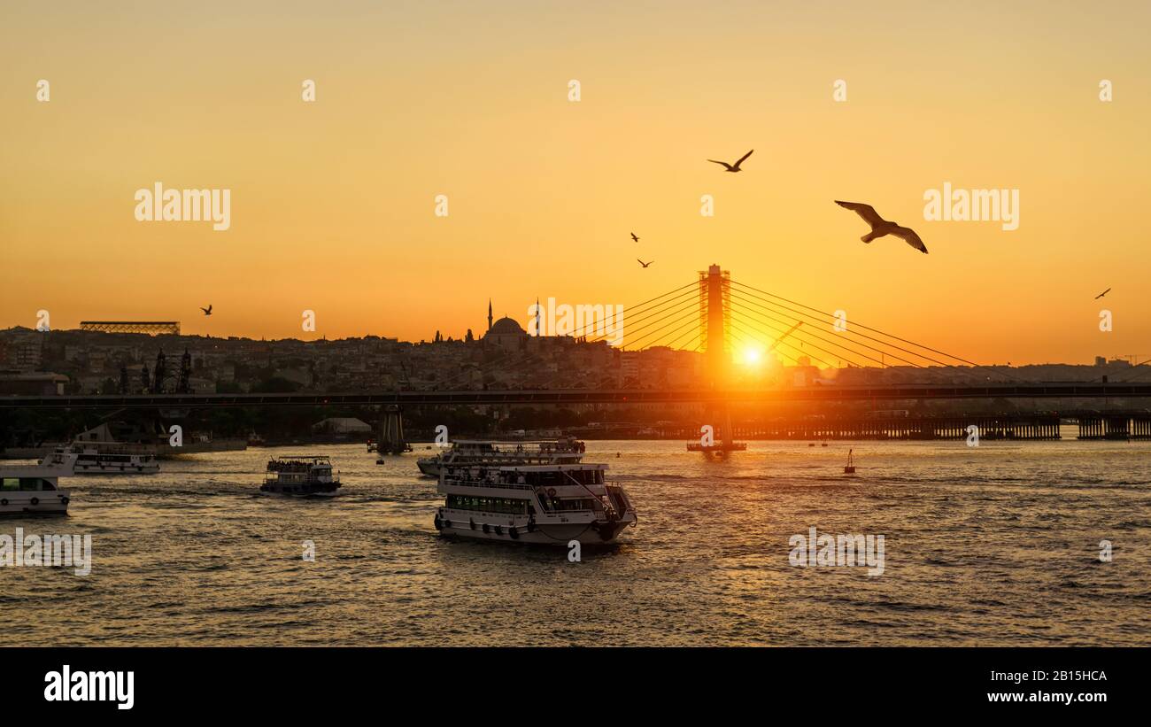 Cuerno de Oro al atardecer, Estambul, Turquía. El barco de pasajeros navega hacia el Bósforo. Las gaviotas vuelan sobre Estambul al atardecer. Vista panorámica de Estambul por la noche Foto de stock
