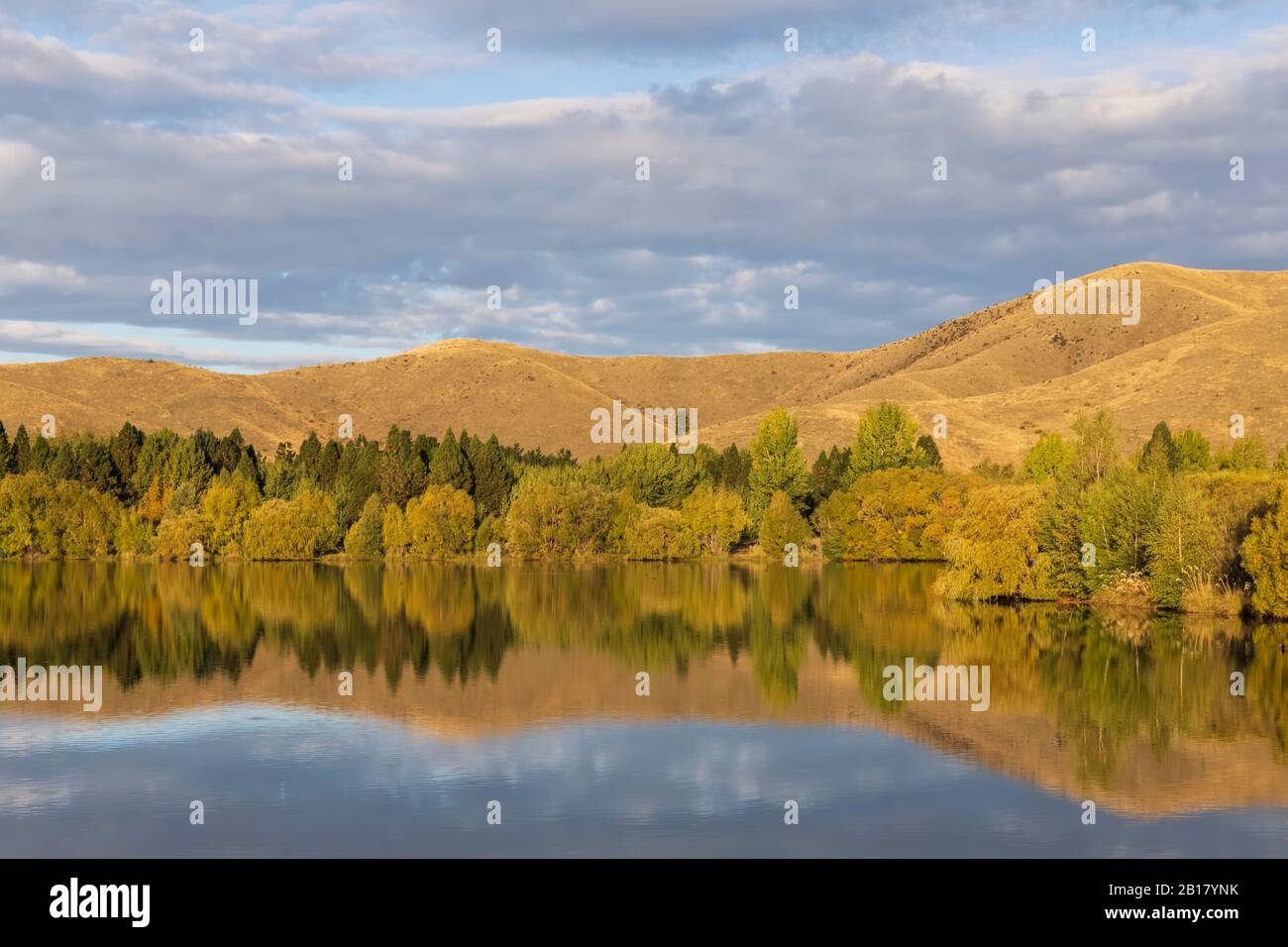 Nueva Zelanda, Distrito Franklin, Glenbrook, colinas boscosas que se reflejan en el lago Wairepo Arm en otoño Foto de stock