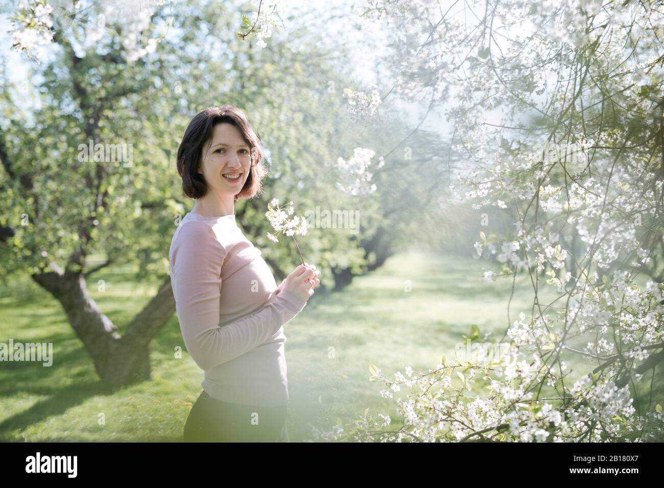 Retrato de una mujer sonriente con ramita de cerezo en flor a la luz del sol Foto de stock