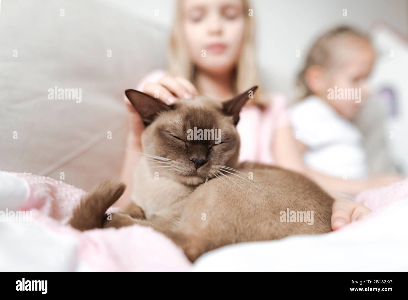 Retrato de gato birmano con los ojos cerrados relajándose con las niñas en el sofá Foto de stock