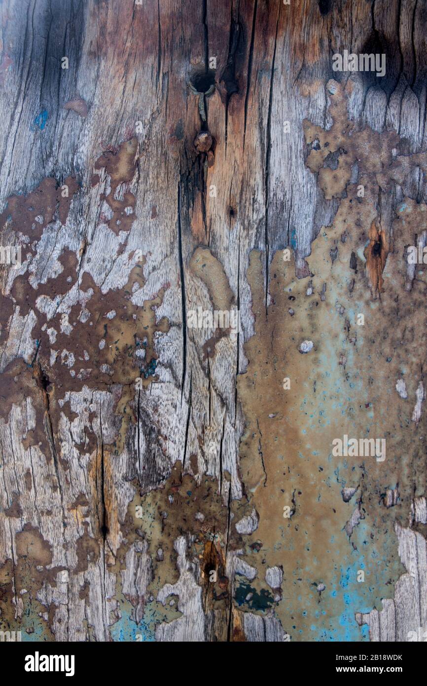 textura de gruñida envejecida; con diferentes patrones de color; cian