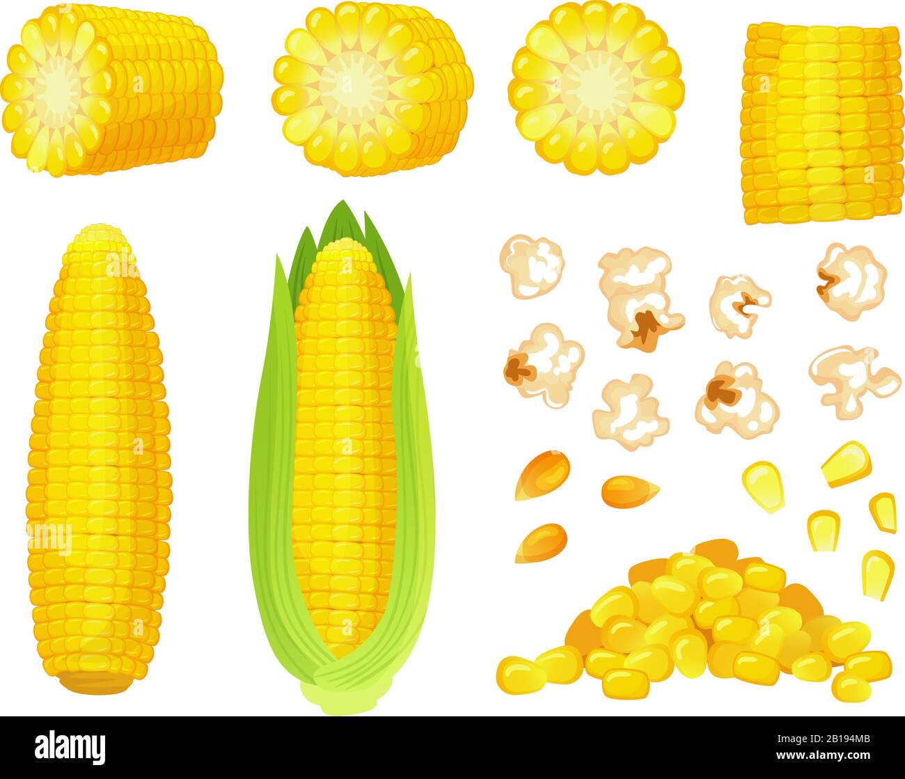 Dibujos animados de maíz. Cosecha de maíz dorado, maíz dulce y maíz dulce.  Oído de maíz, verduras deliciosas vector ilustración conjunto Imagen Vector  de stock - Alamy