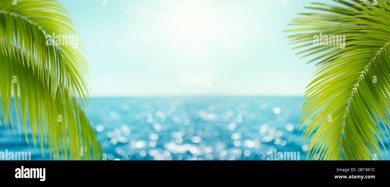 Hermoso fondo de mar azul con hojas de palma y hermoso bokeh realista. Paisaje de verano tropical. Concepto de vacaciones de verano Foto de stock