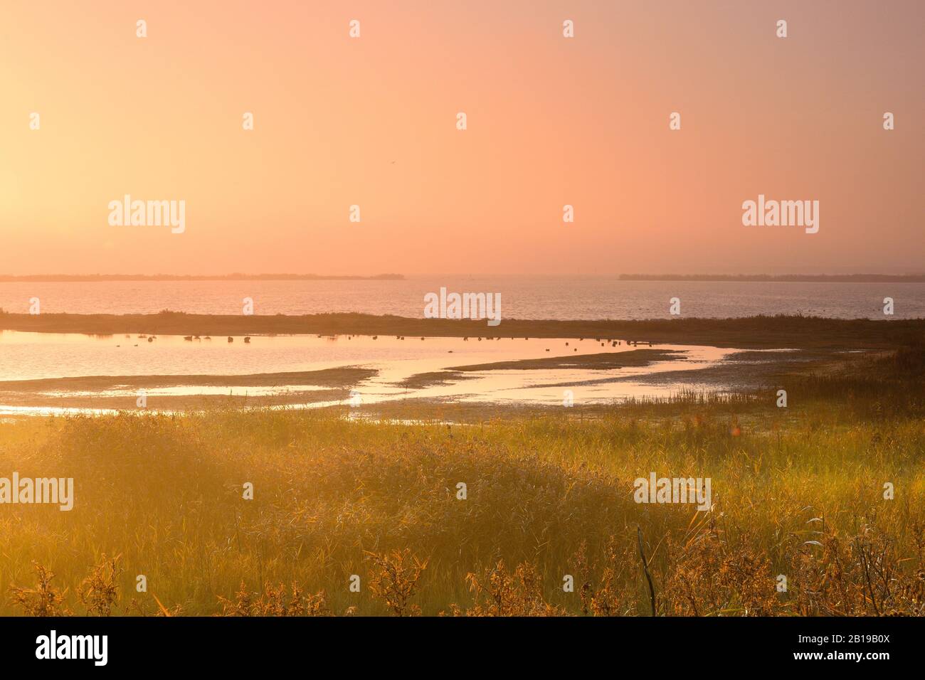Salida del sol en Nordholland, países Bajos, países Bajos del Norte, Westerland Foto de stock