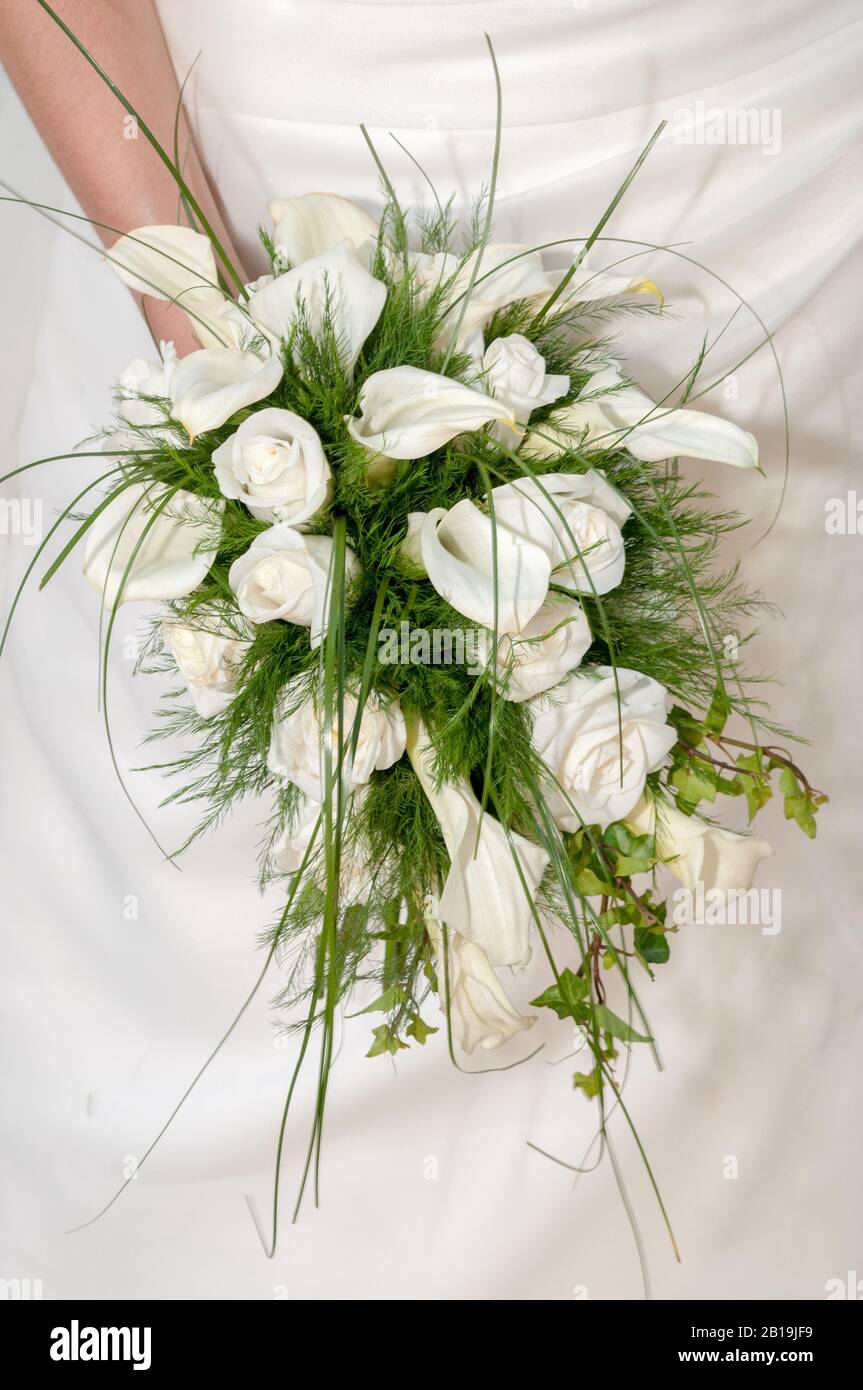 Ramo de flores de calla y rosas blancas. Zantedeschia aethiopica. Lirios.  Calas. Rosas Fotografía de stock - Alamy