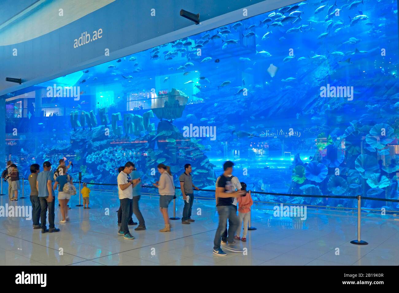 The Dubai Mall Aquarium And Underwater Zoo, Dubai, Emiratos Árabes Unidos,  Oriente Medio, Asia Foto © Fabio Mazzarella/Sintesi/Alamy Stock Photo  Fotografía de stock - Alamy