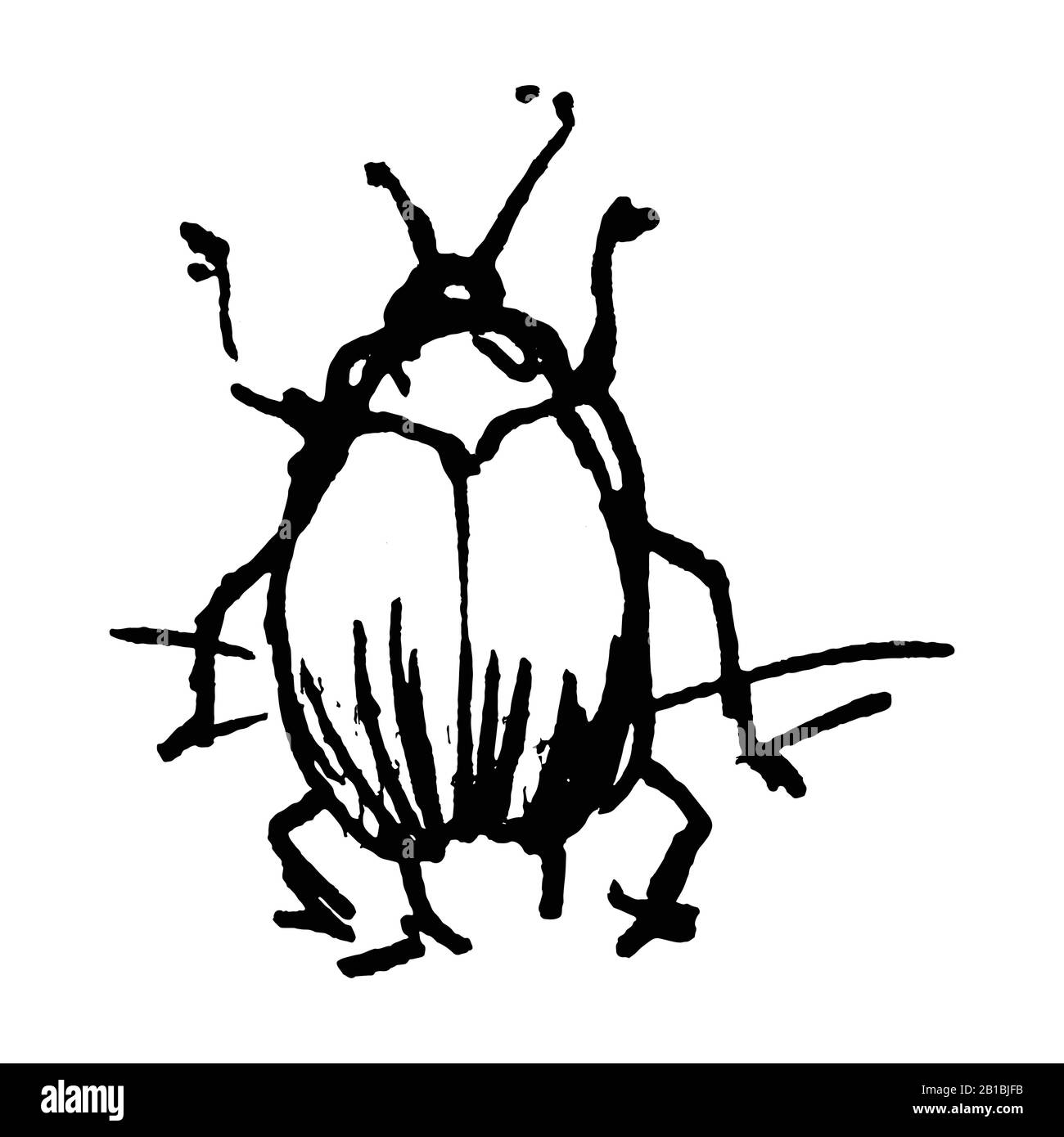 Lindo dibujo animado fruta escarabajo vector clipart. Insecto de la peste del jardín. Athropod fideos naive de insecto biológico alado. Tallarines de la ilustración de la vida silvestre del patio Ilustración del Vector