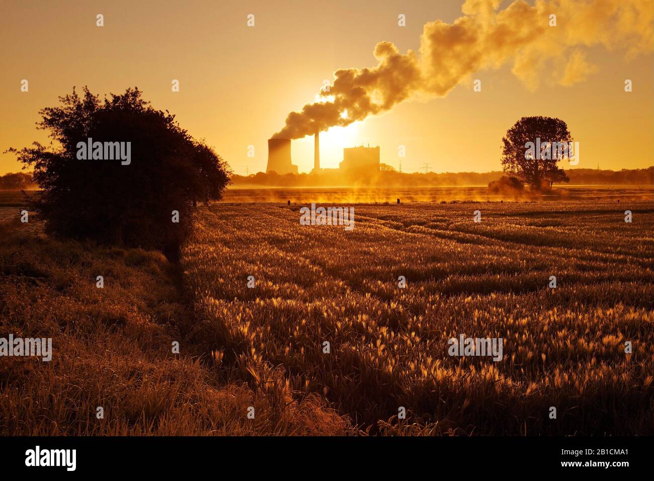 Central eléctrica de carbón Heyden al amanecer, Alemania, Renania del Norte-Westfalia, Petershagen Foto de stock