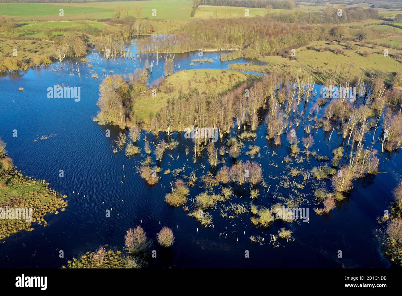 Moorland Hellmoor, vista aérea, Alemania, Schleswig-Holstein, Panten Foto de stock